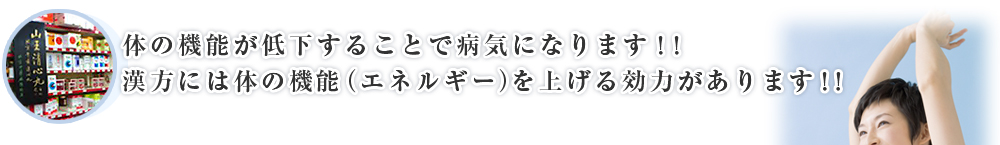 体の機能が低下することで病気になります！！漢方には体の機能（エネルギー）を上げる効力があります！！